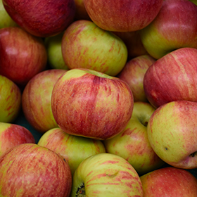 Cortland Apple - Definition and Cooking Information 